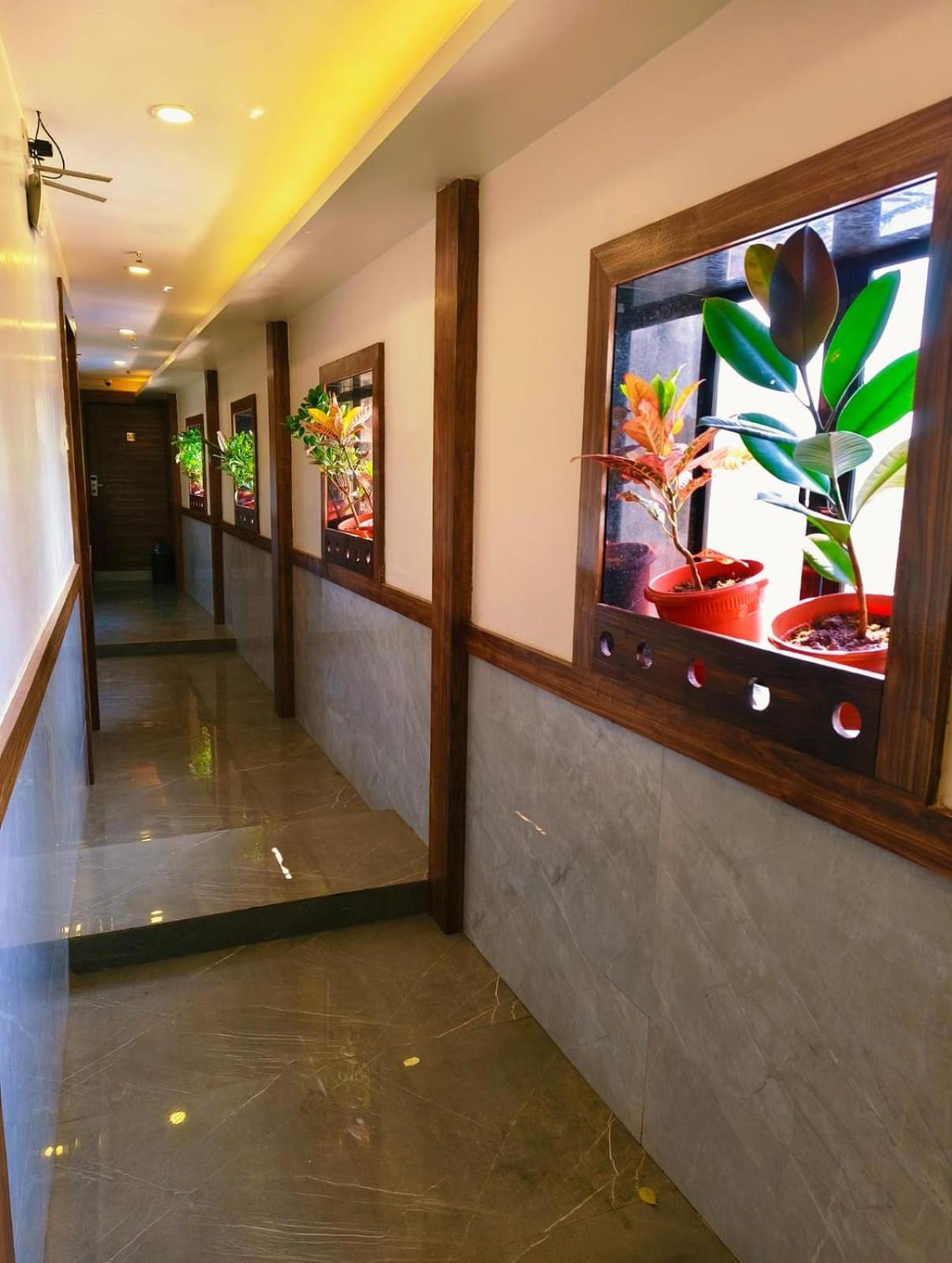 Elegant - Mohammed Ali Road