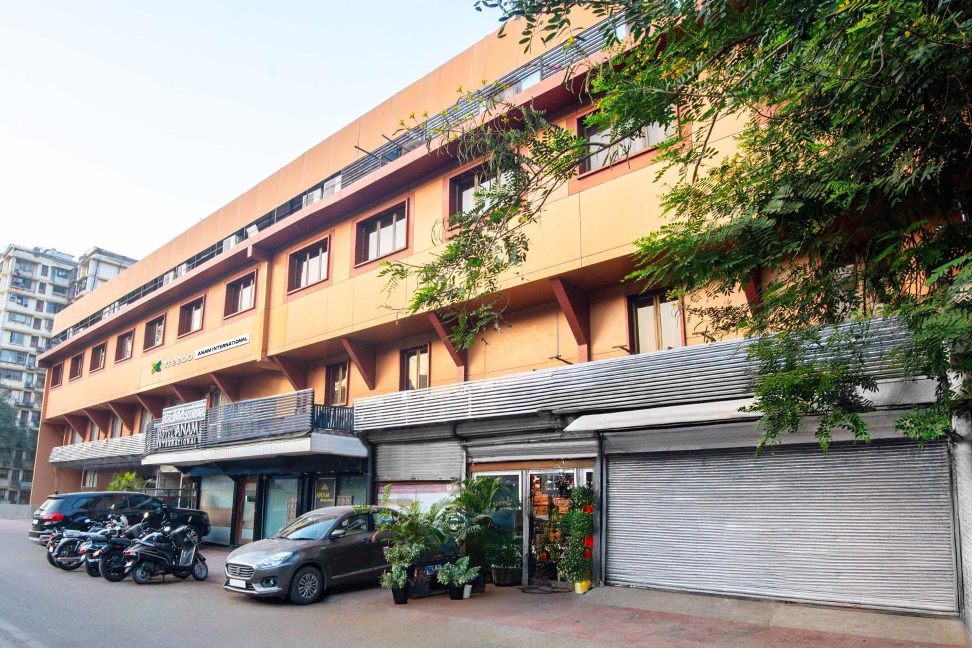 Hotel Treebo Anam International 3*