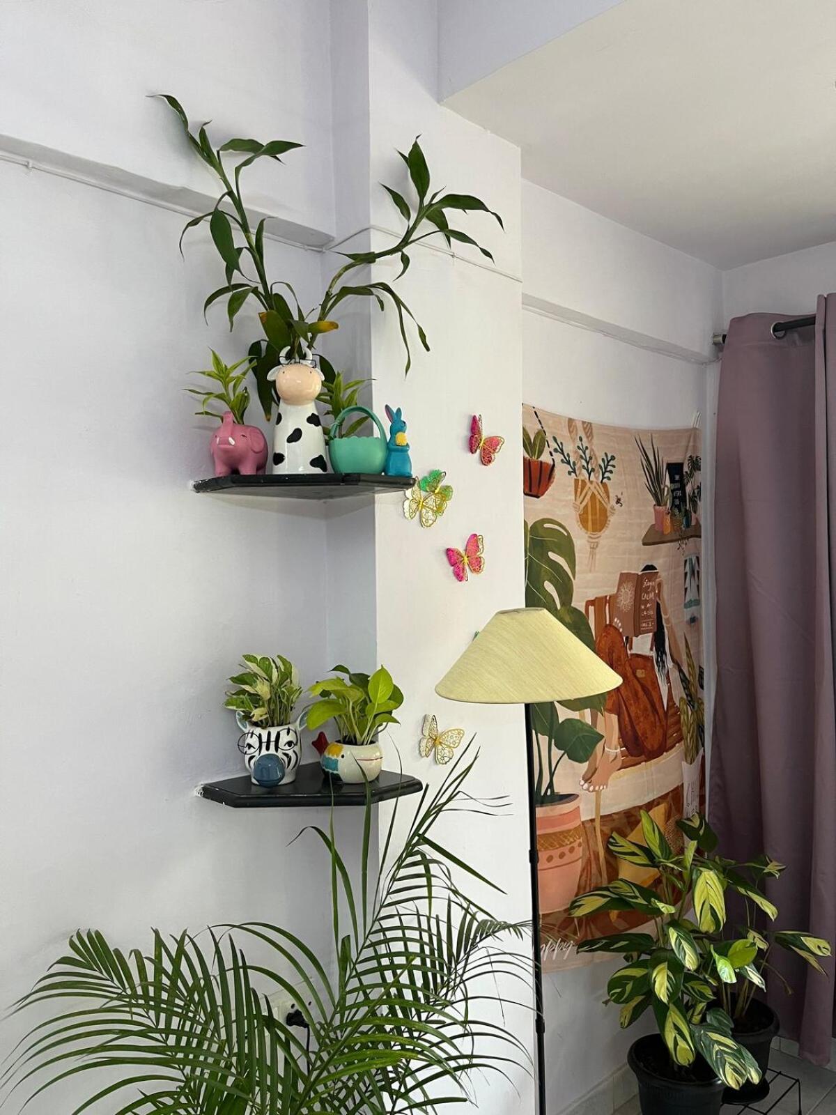 Apartment A Cozy & Peaceful Entire 1bhk House Near The Mumbai