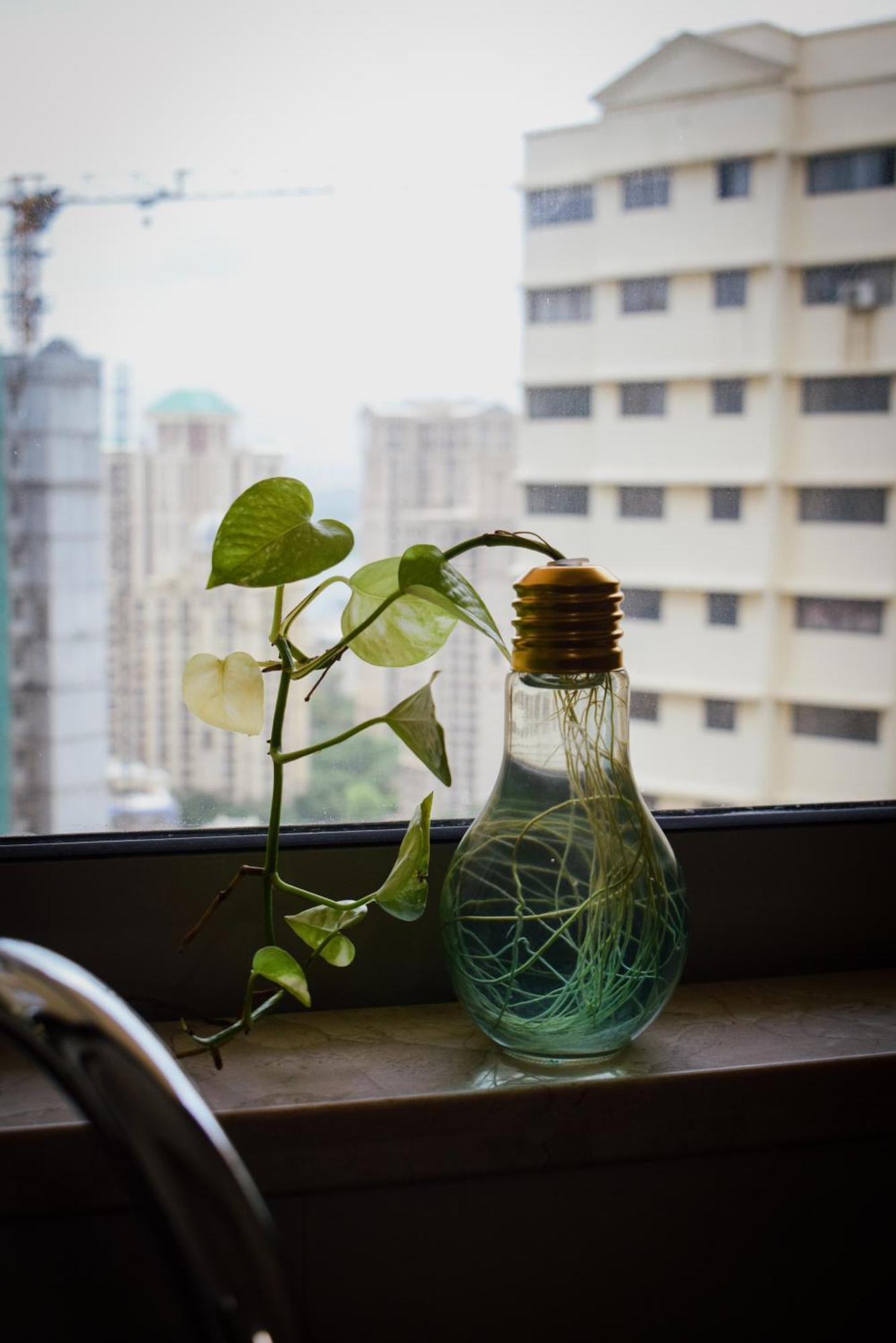 Apartment Trendyexpressstay *