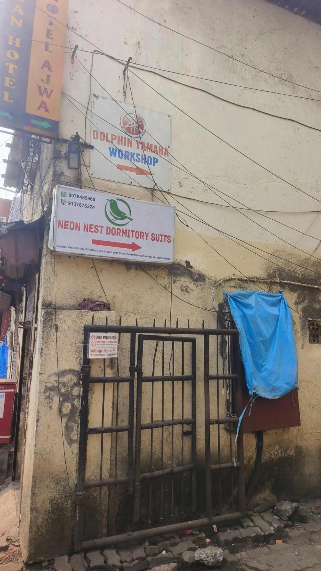 Neon Nest Suits Asalpha Metro
