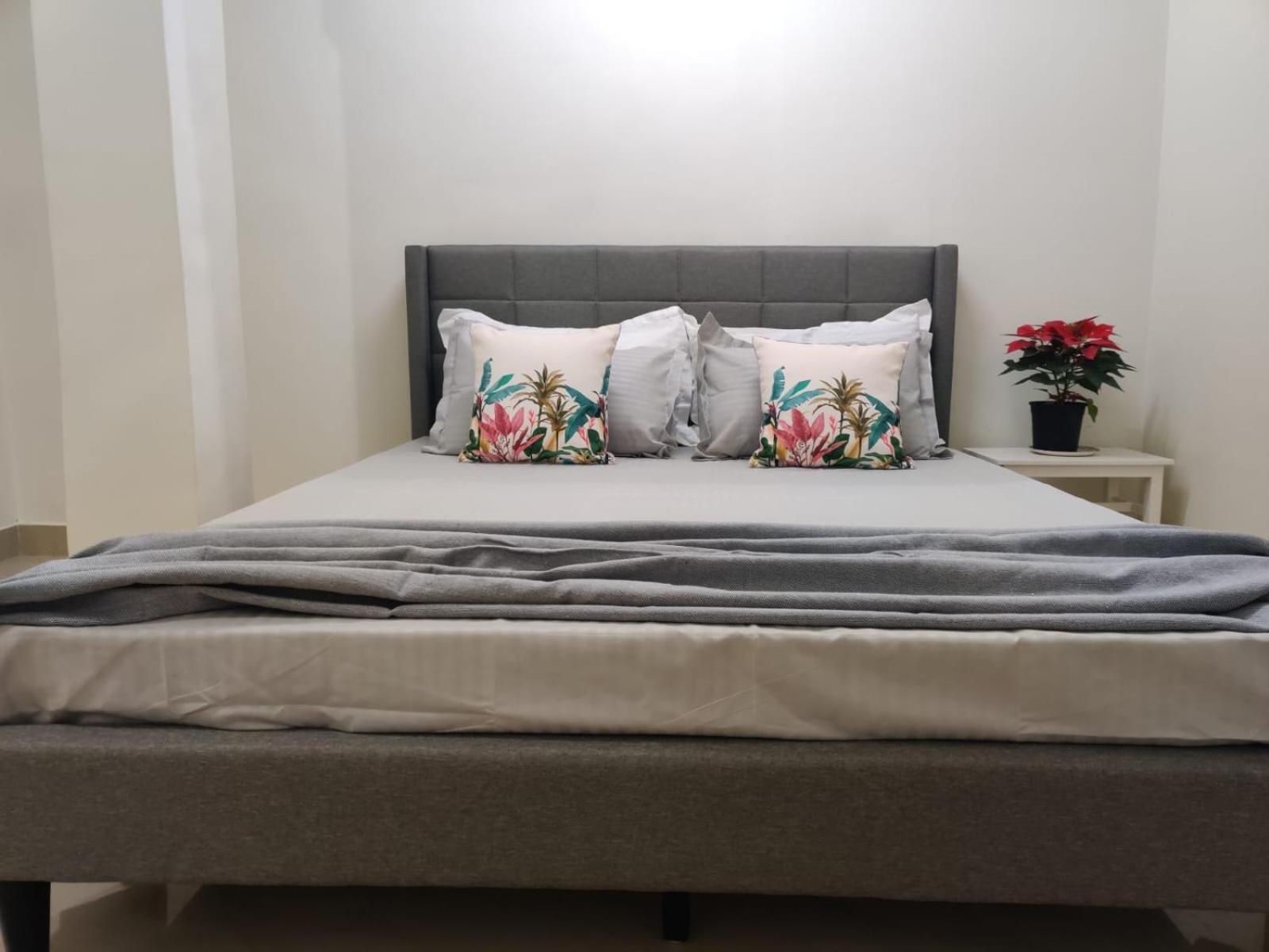 Apartment Calming Abode