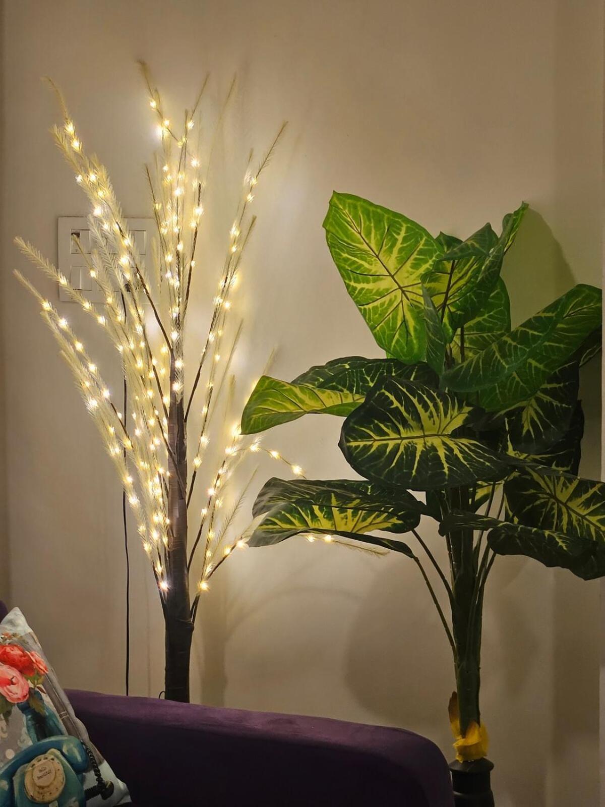 Bandra Bloom- Spacious1bhk Near Lilavati&bandstand Apartment Mumbai