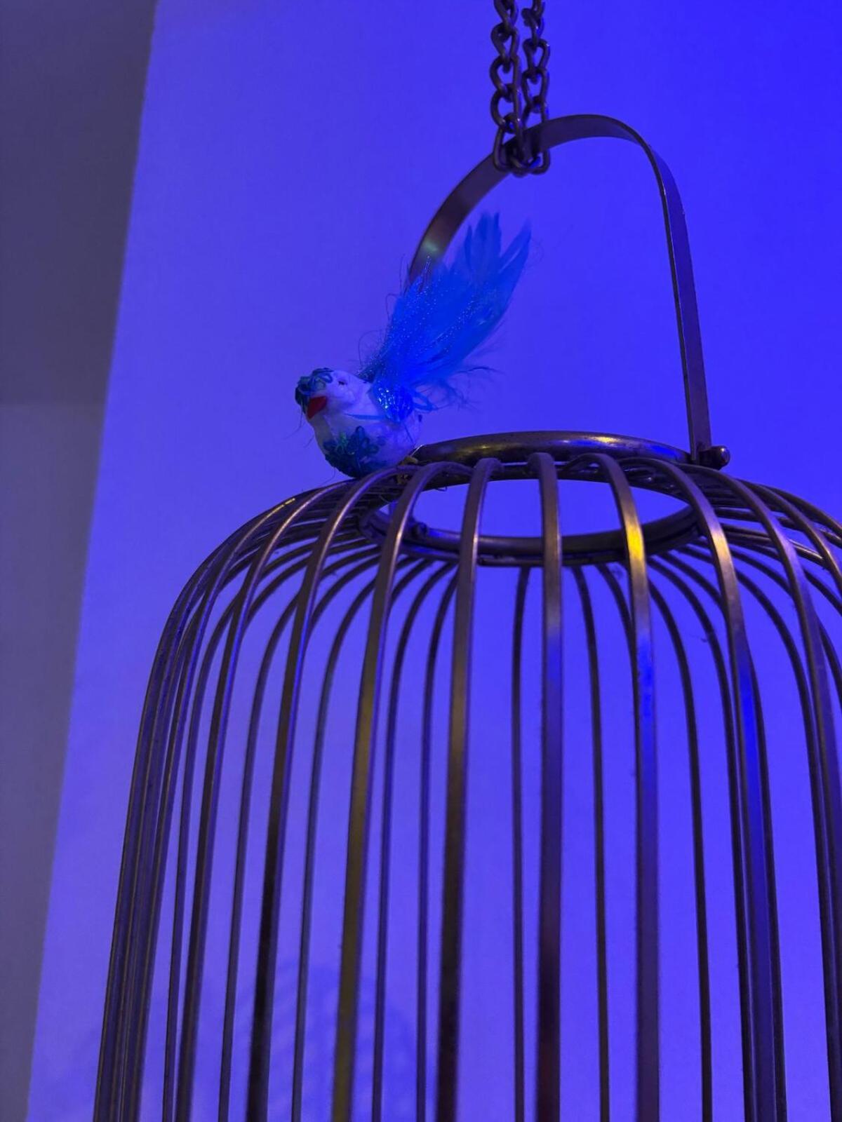 Ivy Splendour Blu Private Studio, Oshiwara, Apartment Mumbai
