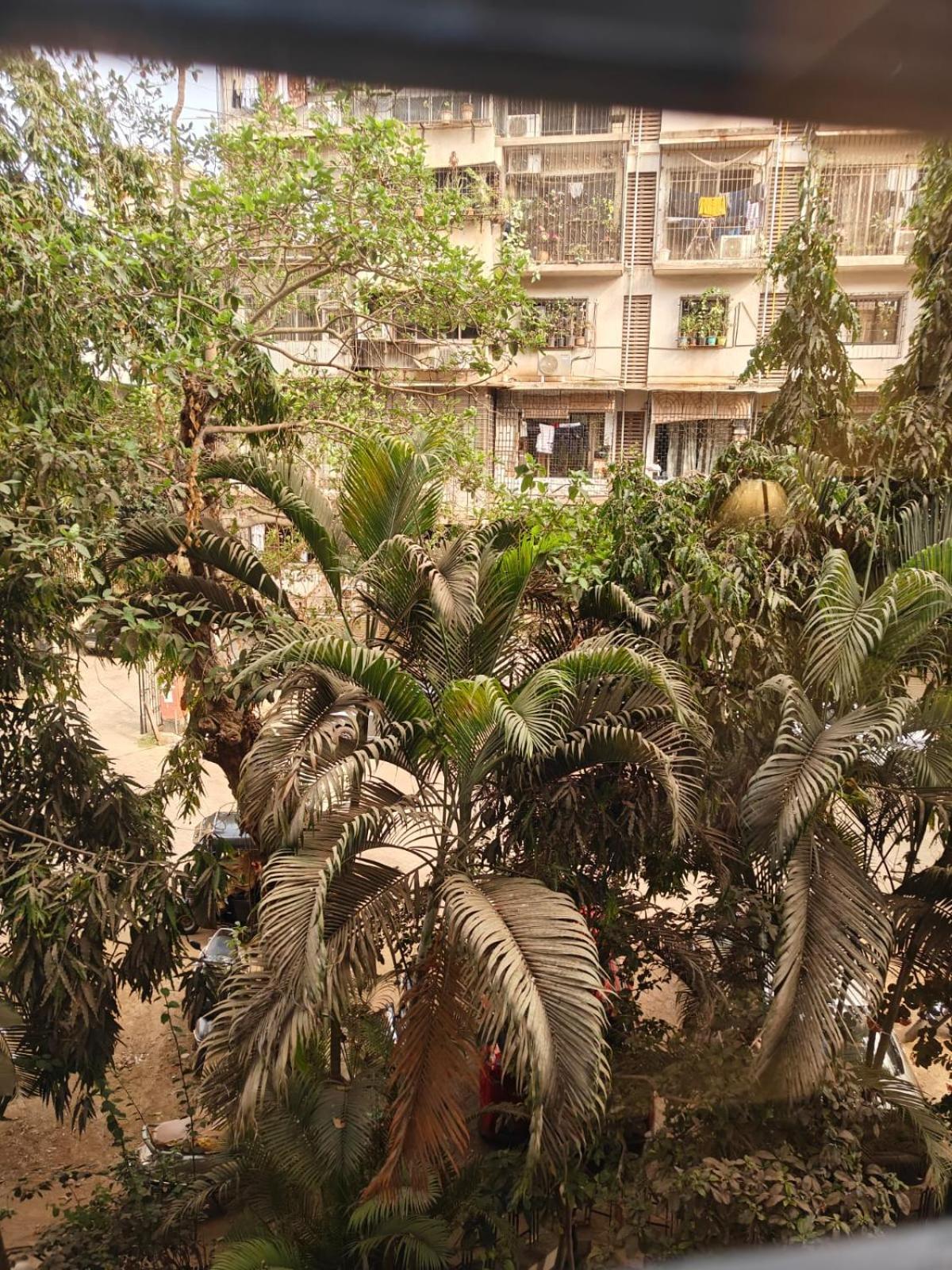 Spacious 1bhk Off Carter Road