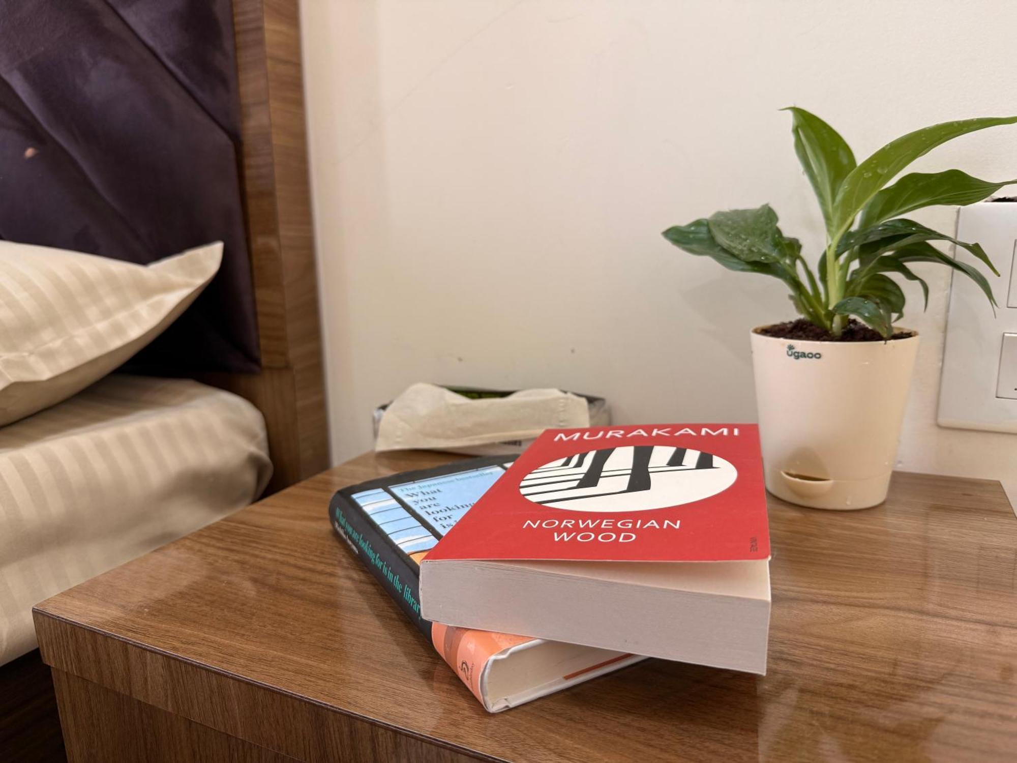 1bhk- Modern Spacious Workstay - Livin Apartment