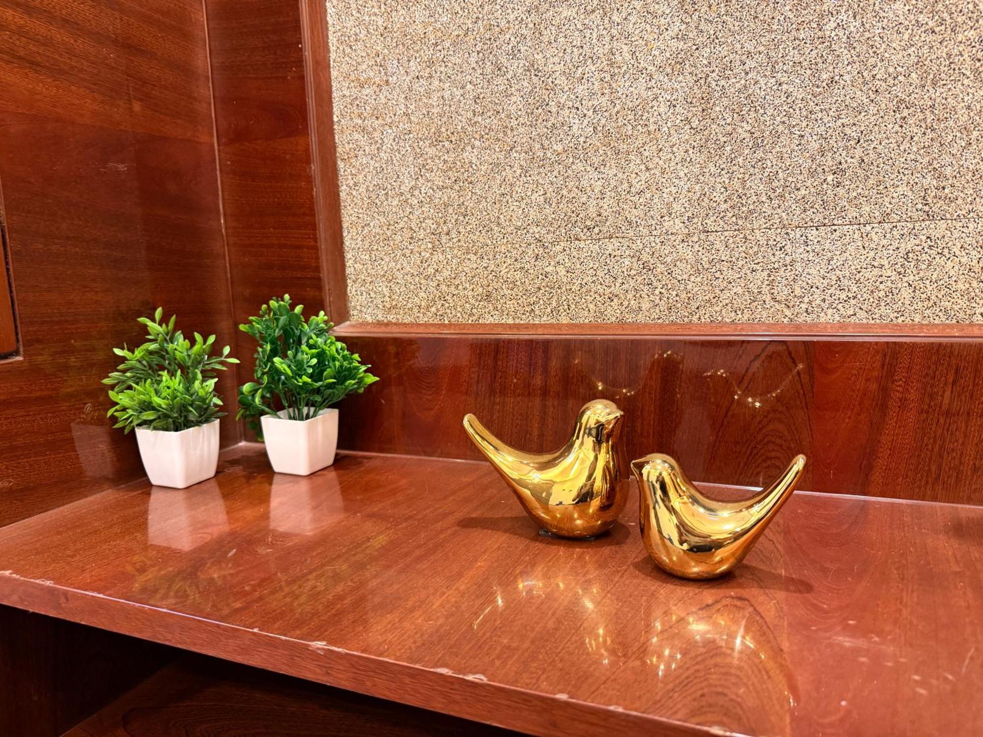 1bhk Modern Cozy Flat At Prime Location Livin Cove