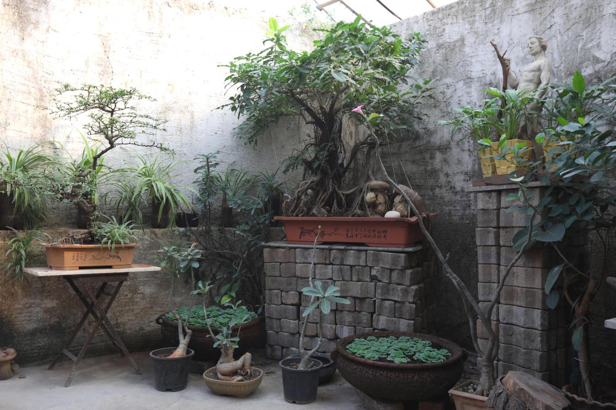 Sasha Bed & Breakfast