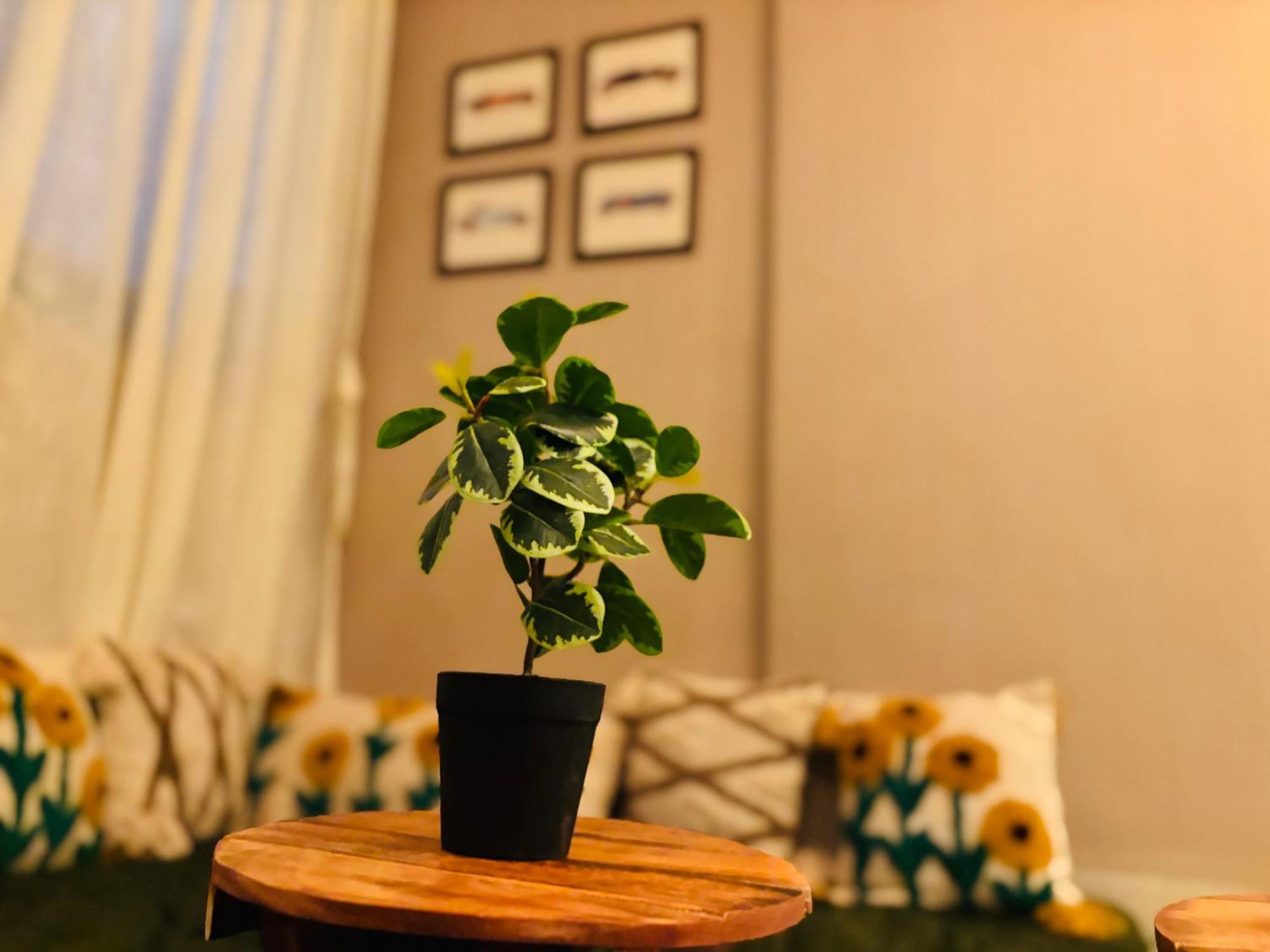 Apartment Jaldi Jaldi Homes Mumbai