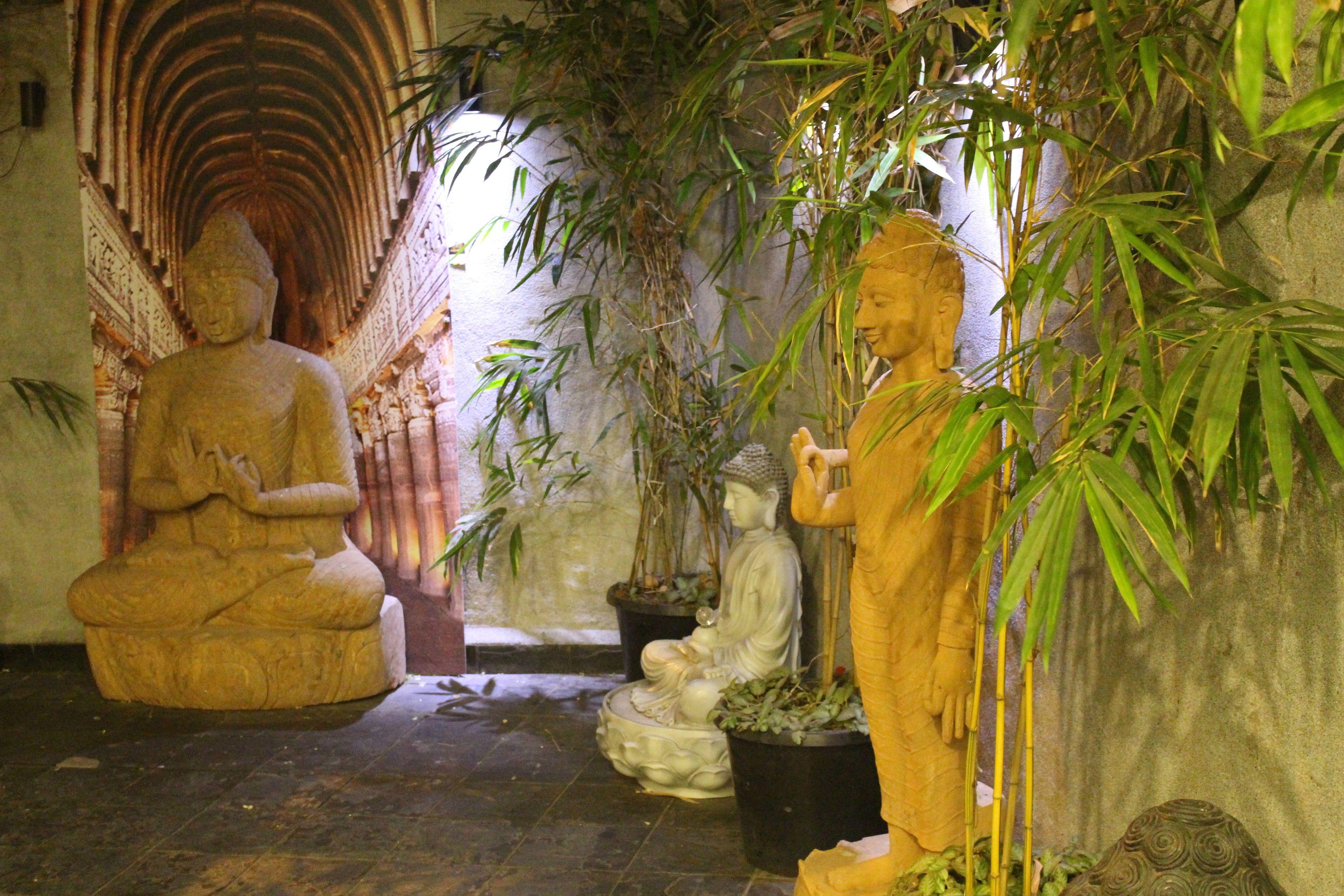 Dragonfly - The Art 4*