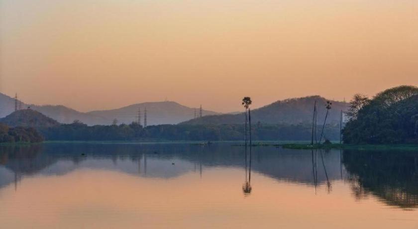 Metro - The Executive