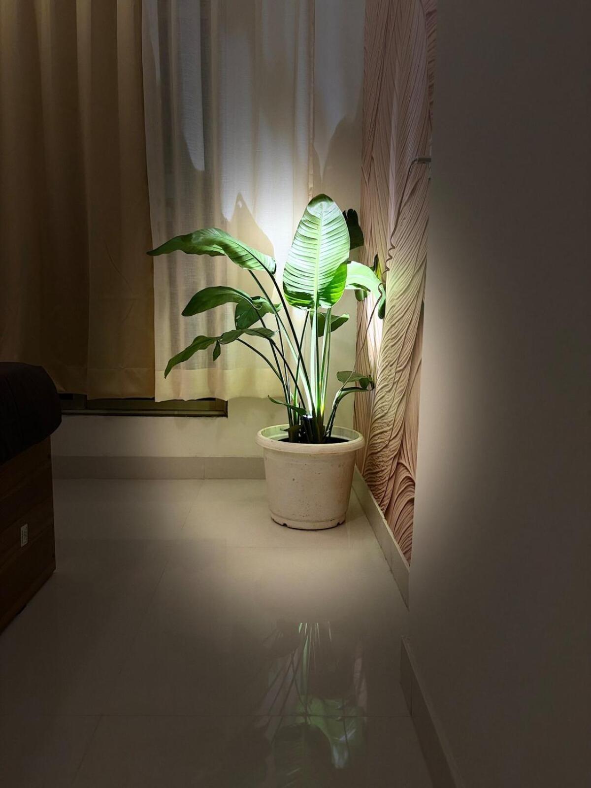 Apartment Royce Executive Service Premium Mumbai