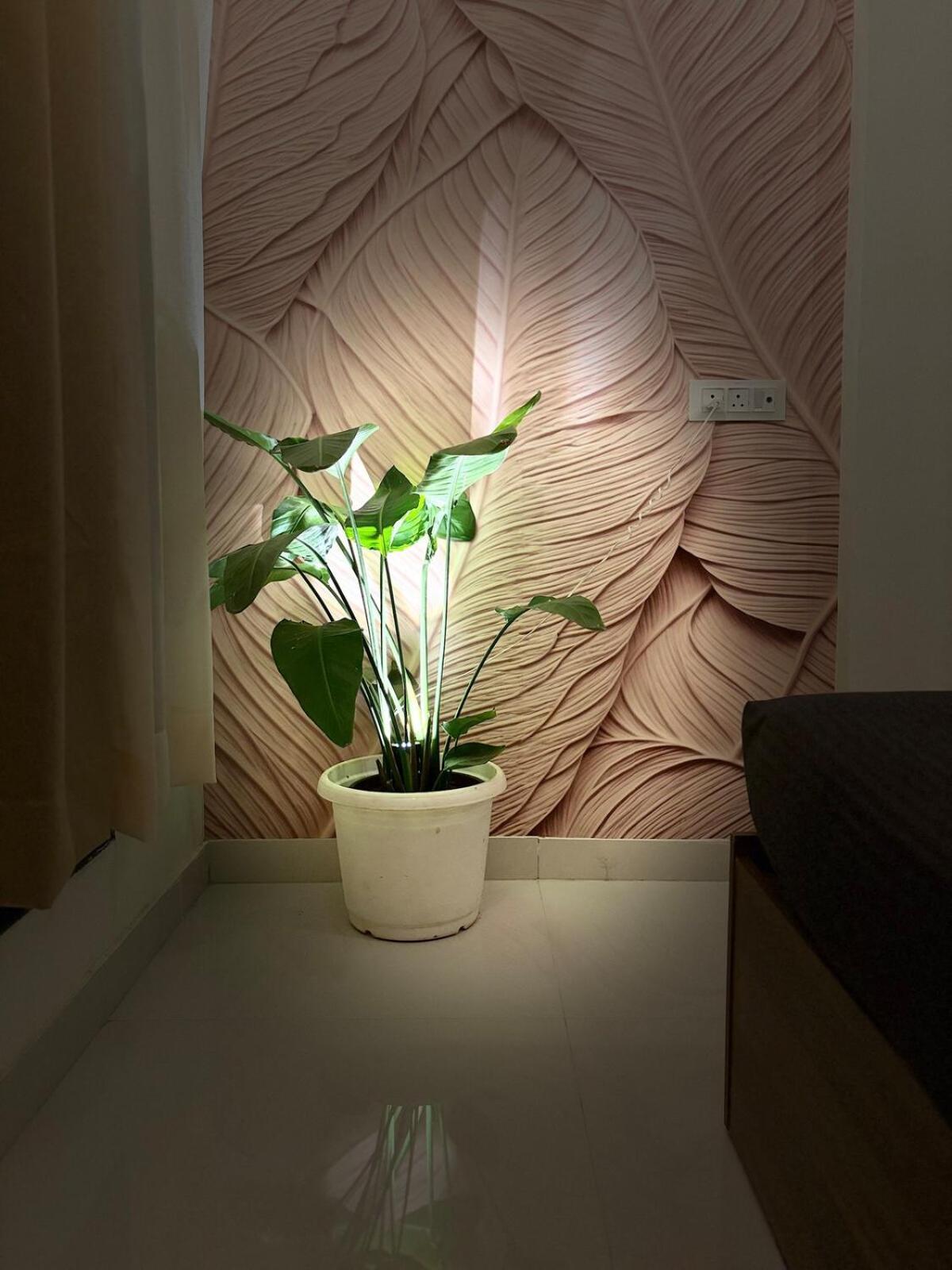 Apartment Royce Executive Service Premium Mumbai