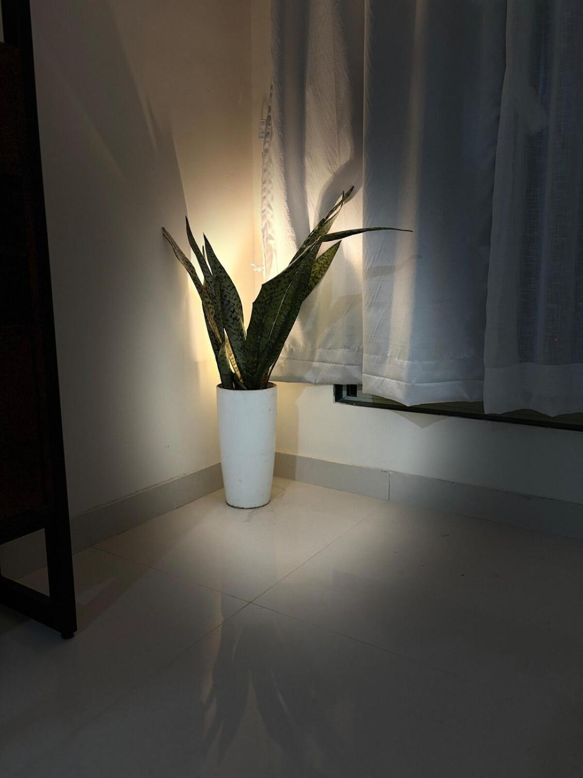 Apartment Royce Executive Service Premium *