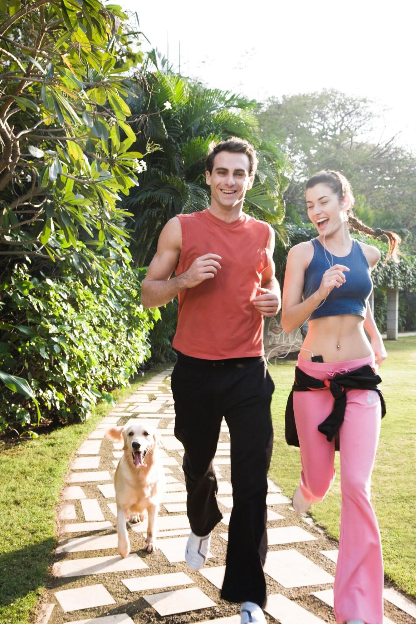 Taj Wellington Mews,