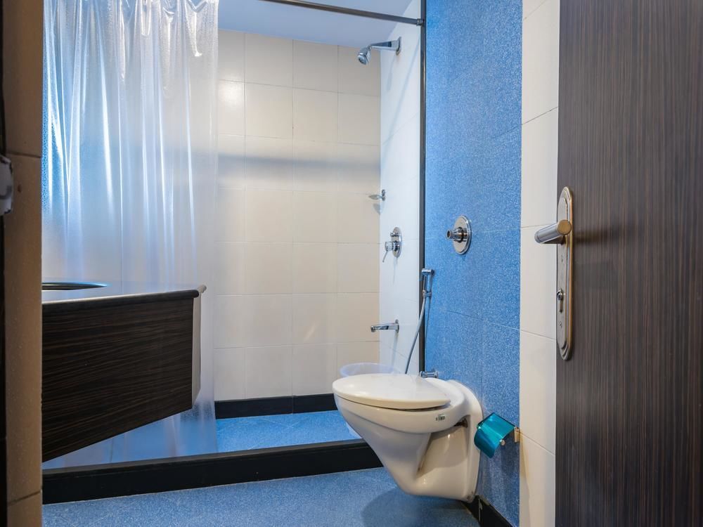 Hotel Fabhotel Savoy Airport 3*