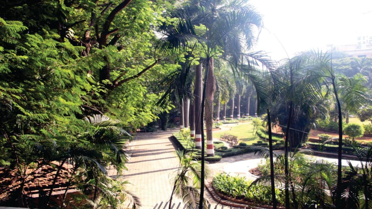 Pg Hostels Bandra Mumbai Mumbai