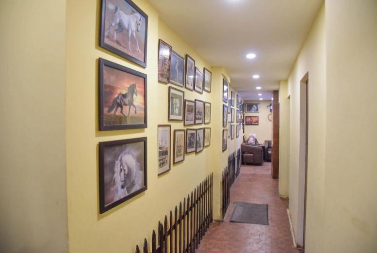 Evergreen Hotel