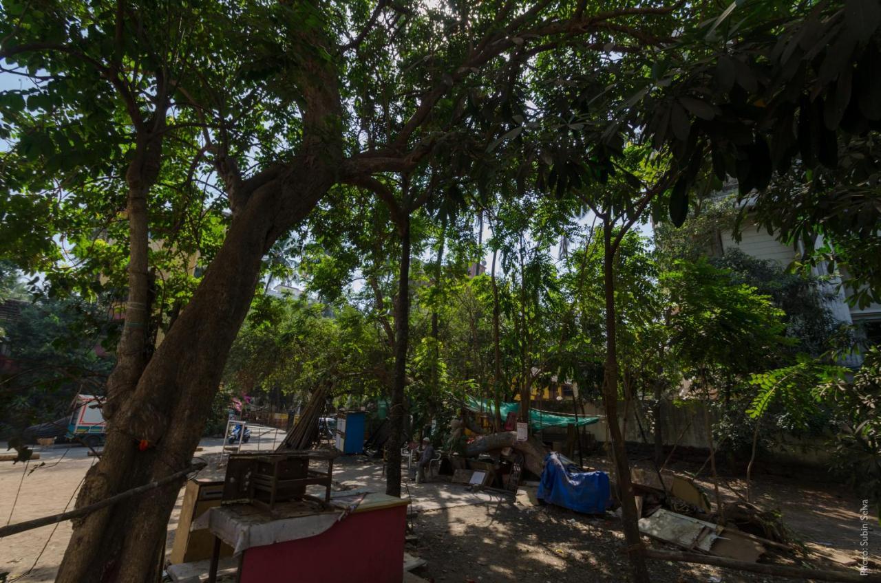 Apartment Bohemian 1bhk Bandra W By The Company *