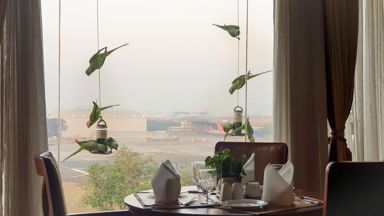 The Orchid Parle Mumbai