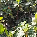 Rst\'S 1Bhk Den