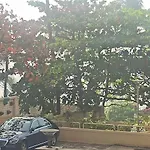 Seaview Room Bandra W Nr Taj Indian Women Only