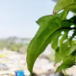 Mumbai Coziest Home