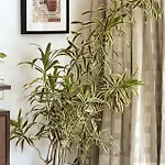 Marita 701 Bandra Beauty 2 Bed 2 Bath Sea View Parking Apartment