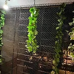 Entire Flat In Andheri West #08