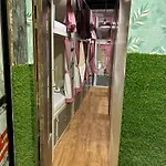 Lucky Beds Pg And Hostel