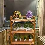 Studio Flat Near Airport & Metro