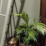 Hostel Hebbar's Heritage Mumbai