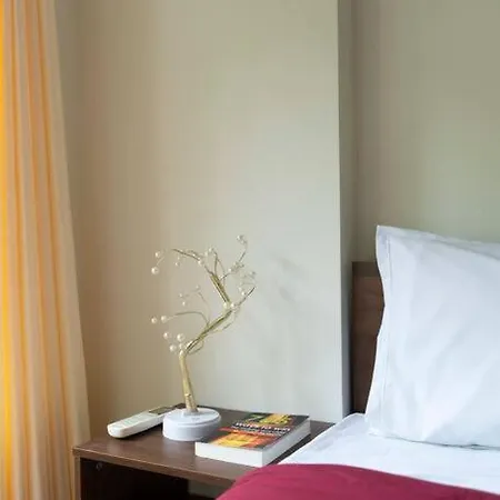 Modern, Elegant, Serene 2bhk Near Bkc & Airport Apartment Mumbai