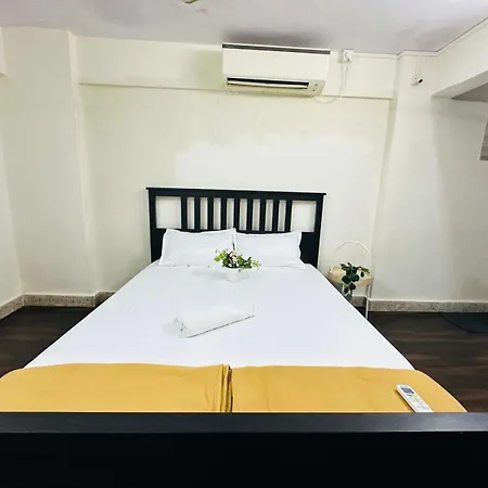 Apartment 1bhk Service In Shivaji Park By Flora *