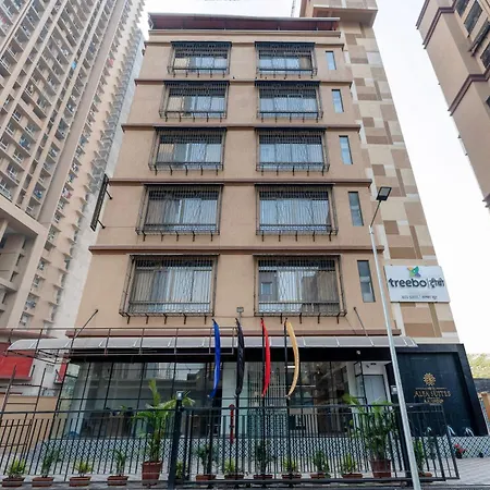 Treebo Alfa Hotel 3*