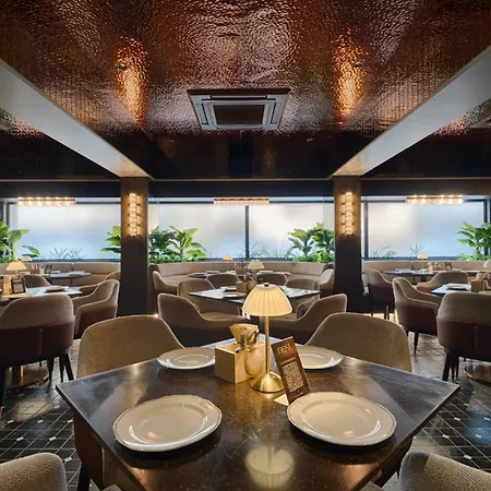 Hotel Silver Near Airport 3*