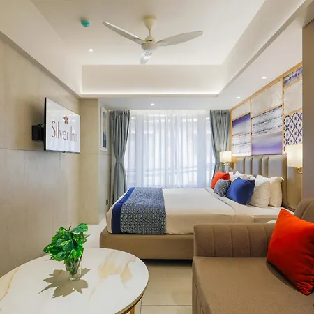 Hotel Silver Near Airport 3*