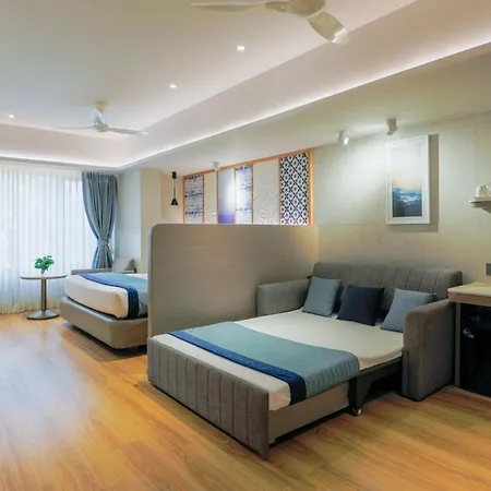 Hotel Silver Near Airport 3*