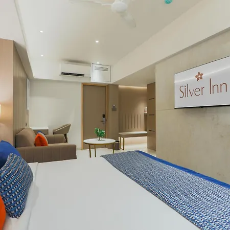 Hotel Silver Near Airport 3*