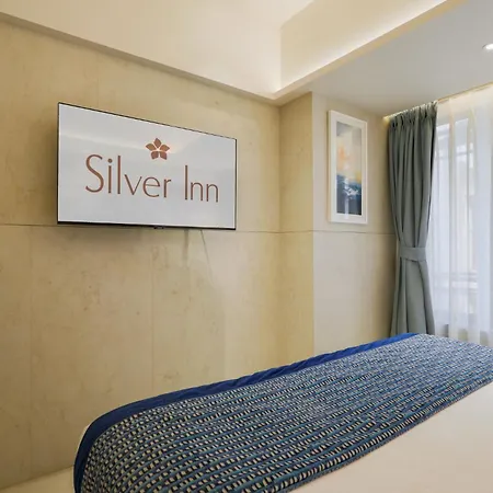 Silver Near Airport Hotel 3*