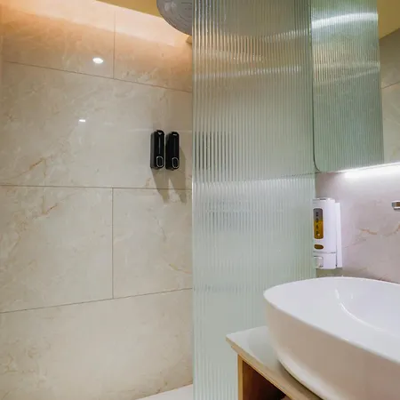Hotel Silver Near Airport 3*