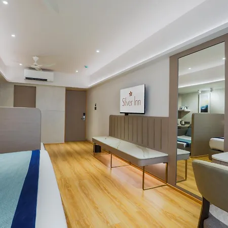 Hotel Silver Near Airport 3*