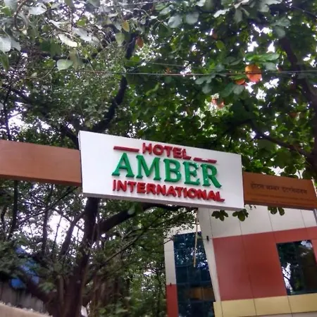 Treebo Amber International Airport T2 3*