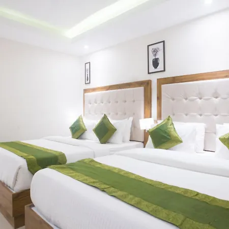Hotel Treebo Amber International Airport T2 3*