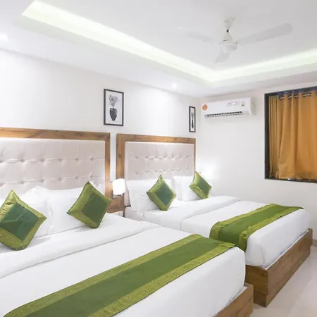 Hotel Treebo Amber International Airport T2 3*