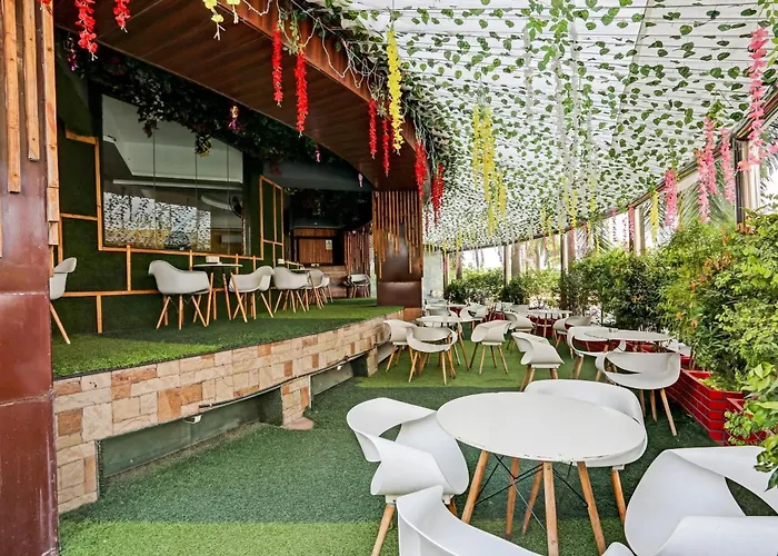 Oyo Salt House