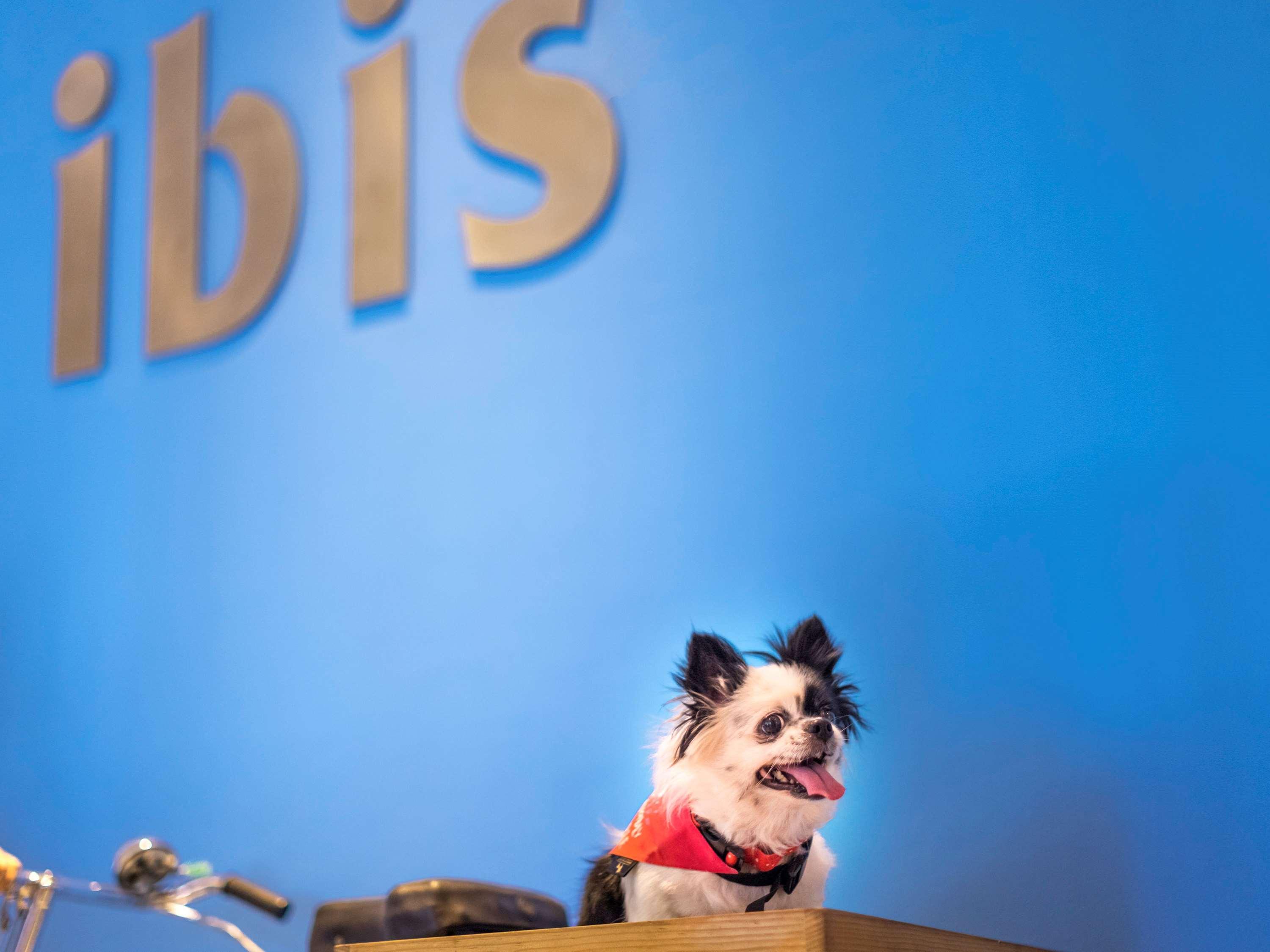 Ibis Airport - An Accor Brand Hotel 3*