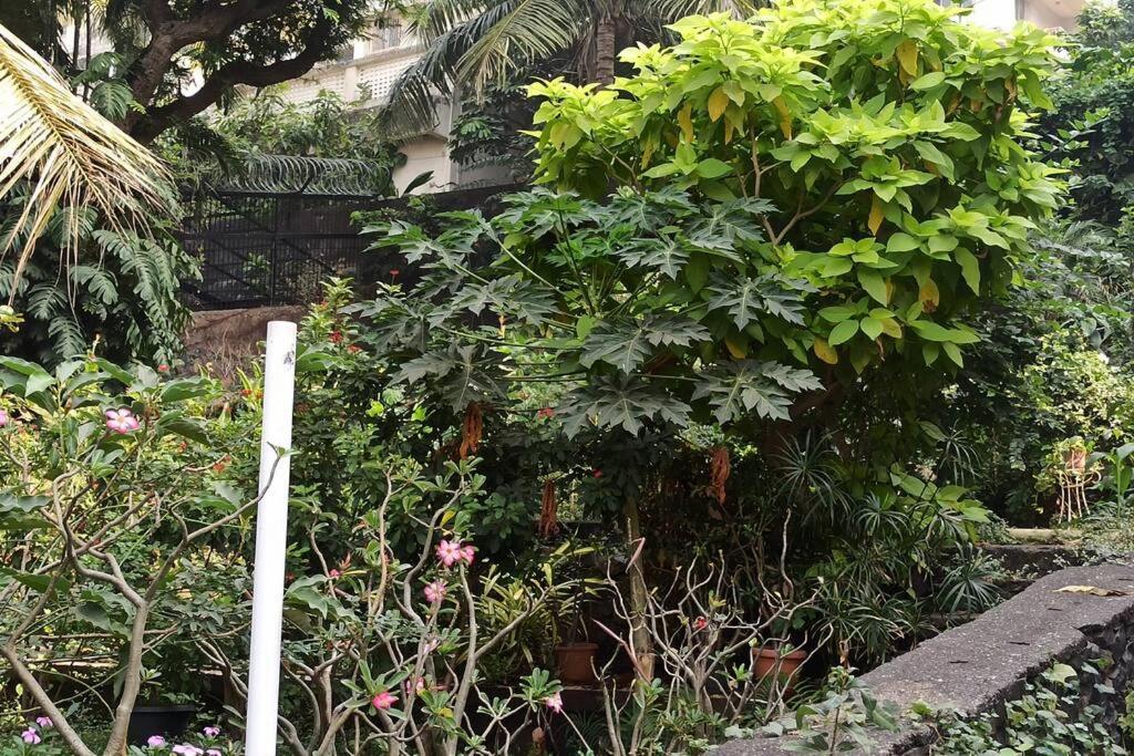 Apartamento Cozy Private Ac Studio By The Sea Bandstand Bandra W Nr Taj Lands End *