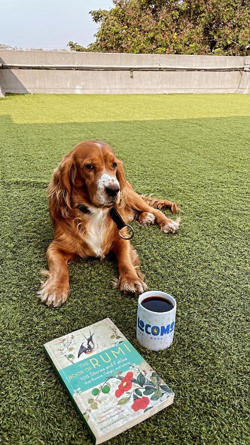 Hostel Locomo Og - Work Eat Mumbai