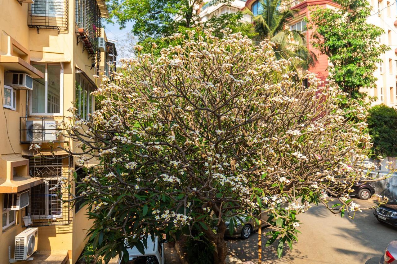 Homestay Ivory Seaside Near Carter Road, Bandra West, Mumbai